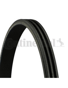 Banda de distribución o correa acanalada 3PK866