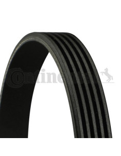 Banda de distribución o correa acanalada 5PK1130