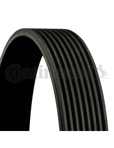 Banda de distribución o correa acanalada 8PK1230