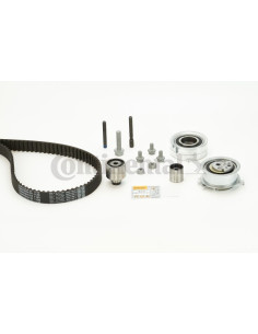 Kit banda de distribución o correa acanalada CT1139K2