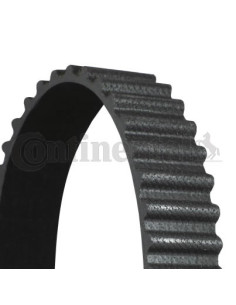 Banda de distribución o correa acanalada CT665