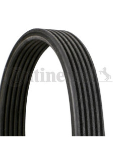 Banda de distribución o correa acanalada 6DPK1195