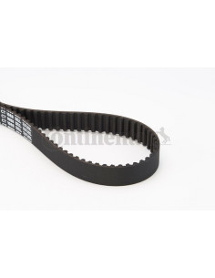 Banda de distribución o correa acanalada CT1088