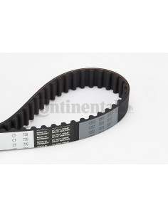 Banda de distribución o correa acanalada CT738