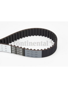 Banda de distribución o correa acanalada CT757