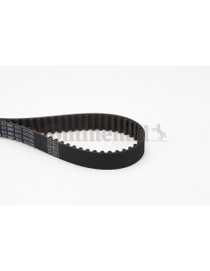 Banda de distribución o correa acanalada CT887