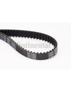 Kit banda de distribución o correa acanalada CT1107