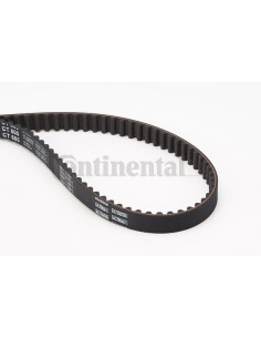 Banda de distribución o correa acanalada CT605