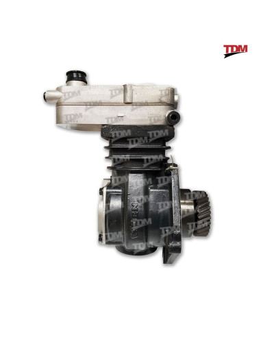 Compresor Motor M2-112